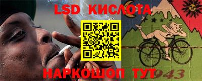 spice Бийск