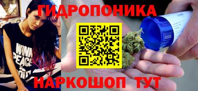 spice Бийск