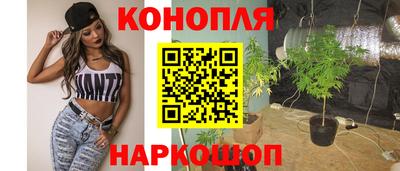 spice Бийск